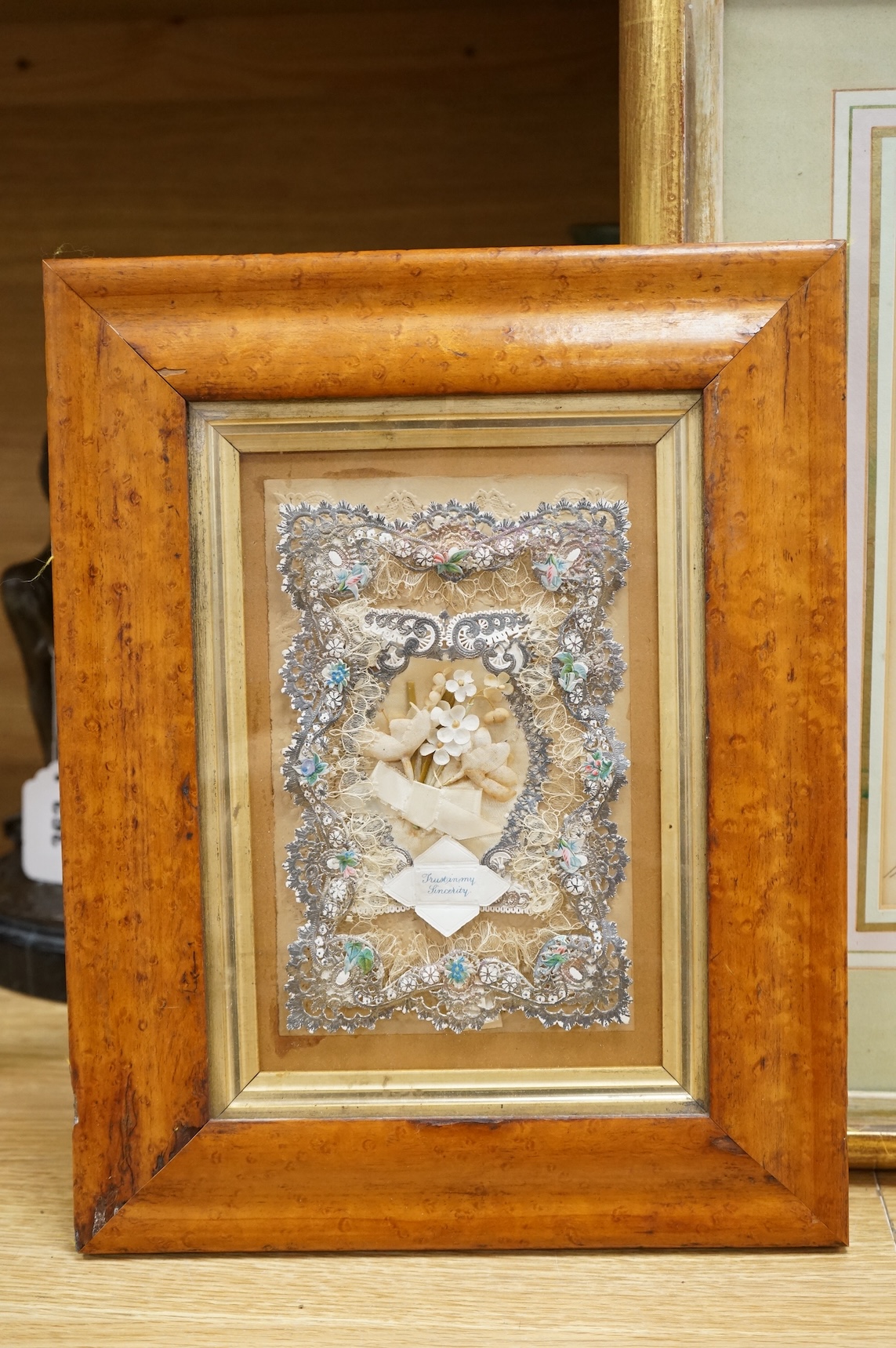 Two 19th century botanical watercolours, one initialled M P and dated 1843, together with a cut paper and textile display, maple framed, largest 25 x 18cm